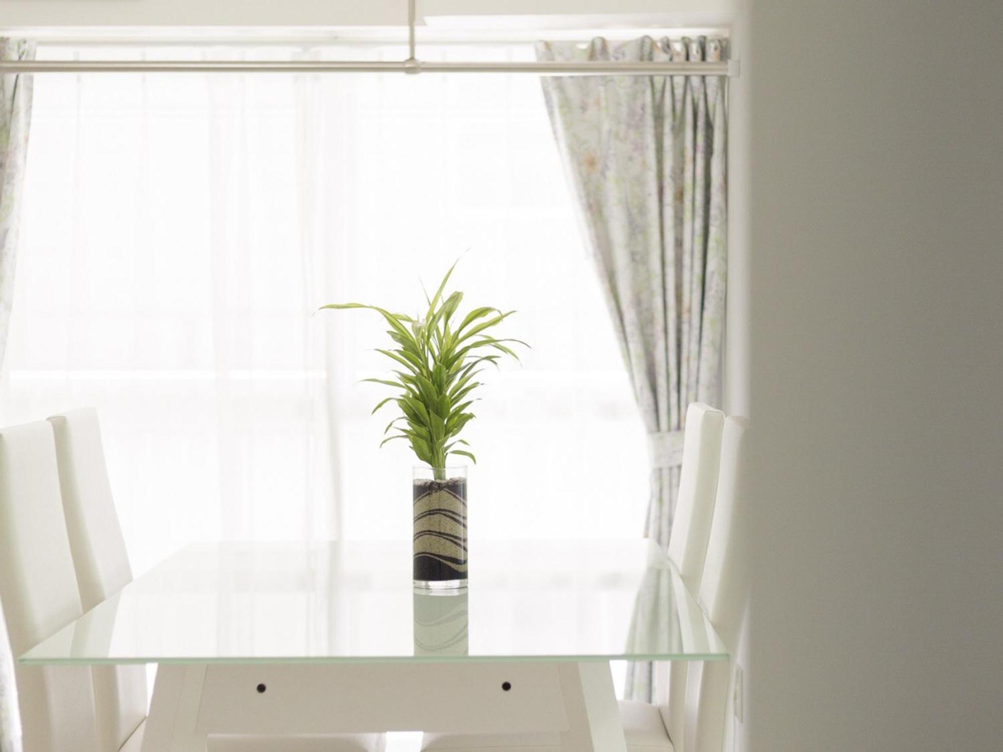 Appartement シャトーひらぎし